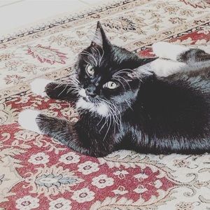 Meet your Posher, Kendra